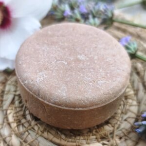 shampoing solide cheveux normaux